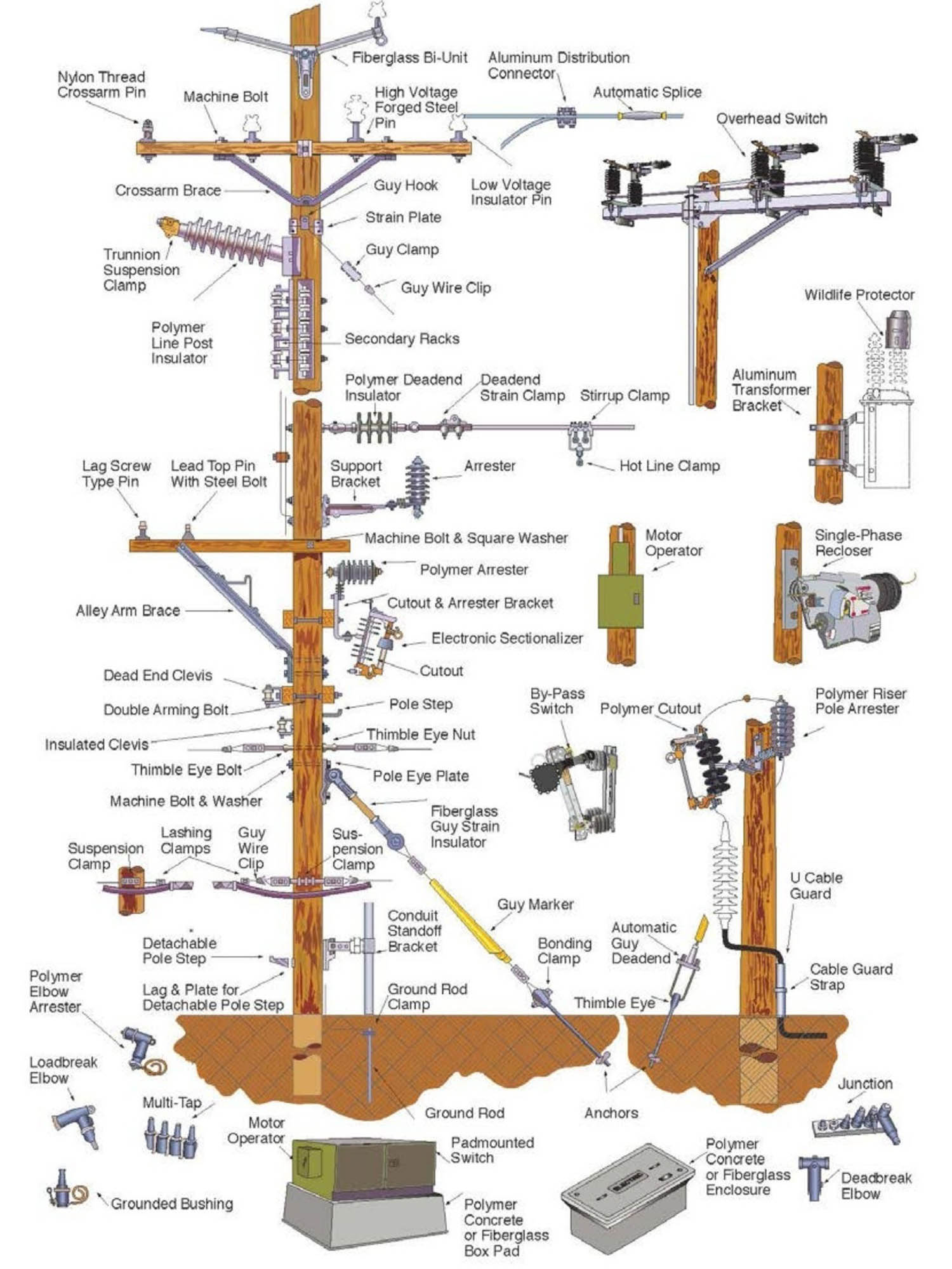 Anatoly of a electrical pole